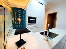 Onze @ Tanjong Pagar (D2), Apartment #448704521